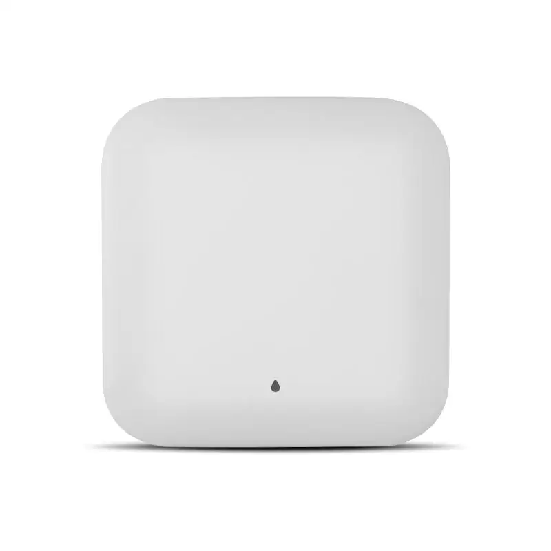 WiFi 6 Dual-Band Ceiling Wireless Access Point with Long-Range Wireless Bridge and PoE Support